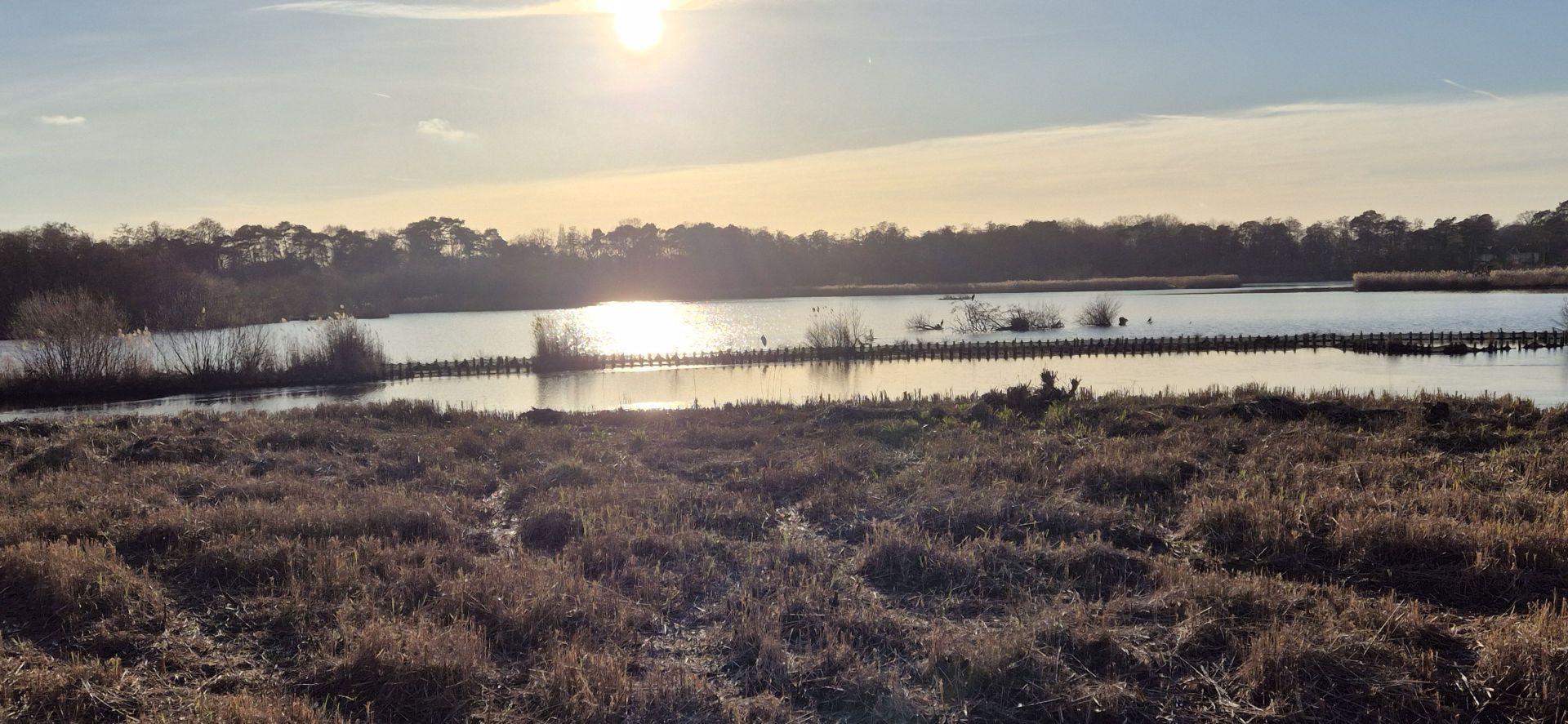 View from Lions View Point